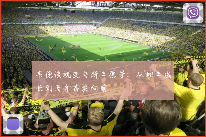 韦德谈蜕变与新年愿景：从蛇年成长到马年奋发向前